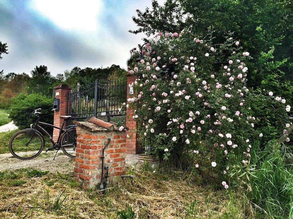 Fienile Da Primo Villa San Giovanni Valdarno Kültér fotó